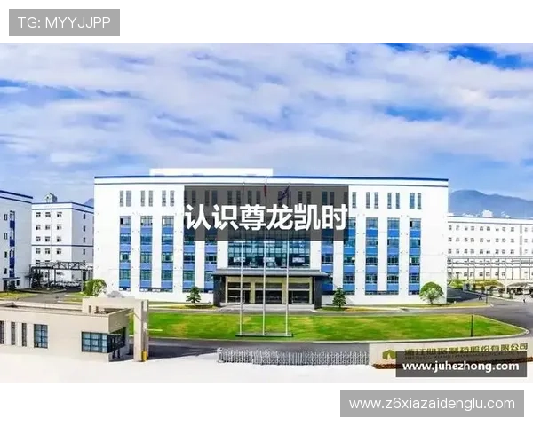 揭秘尊龙凯时官方背后的技术团队，提供稳定的游戏环境