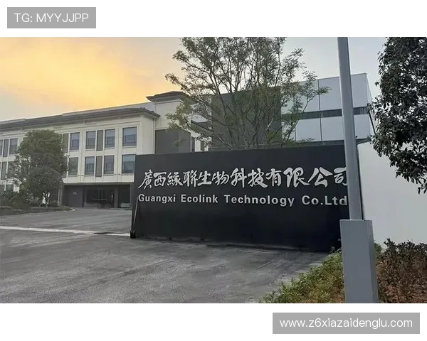 中国尊龙凯时平台用户体验提升方案及常见问题解决指南 中国尊龙凯时平台用户体验提升方案及常见问题解决指南